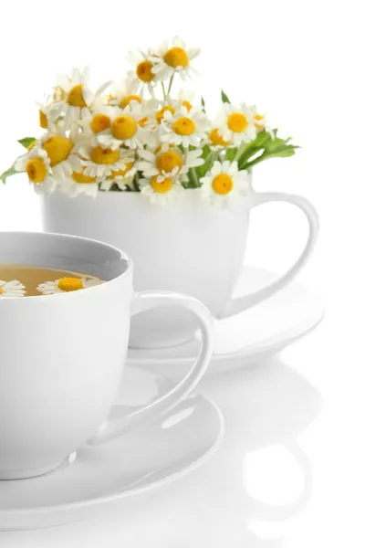 Xícaras de chá de ervas e camomilas selvagens, isoladas em branco — Fotografia de Stock