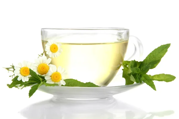Чашка трав'яного чаю з дикими ромашками і м'ятою, ізольовані на білому — стокове фото