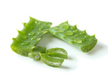 Aloe yaprakları damla, üzerinde beyaz izole