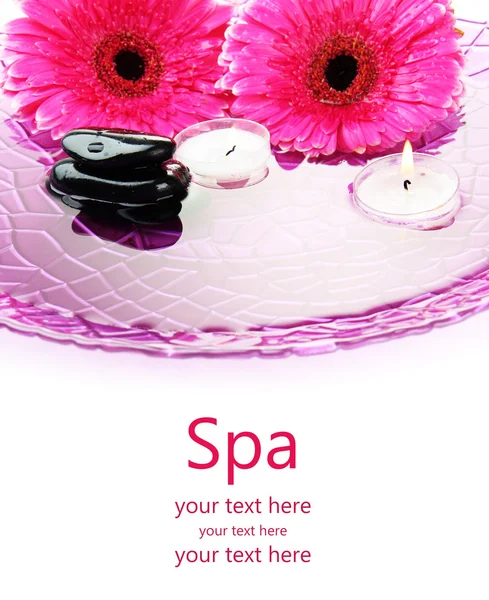 Spa stones, gerbera flowers and candles on water, isolated on white — Stock Photo, Image