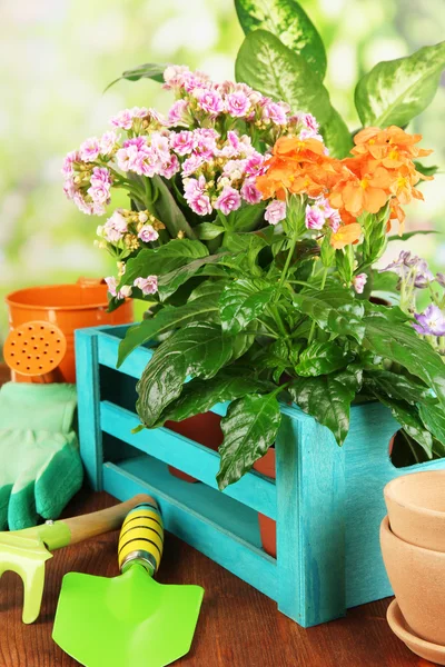 Lindas flores em vasos na mesa de madeira no fundo natural — Fotografia de Stock