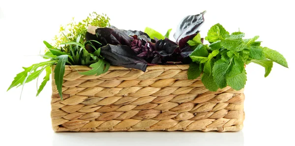 Fresh herbs in basket, isolated on white — Stock Photo, Image