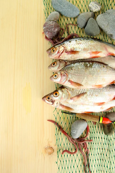 Fishes on fishing net on wooden background — Stock Photo, Image