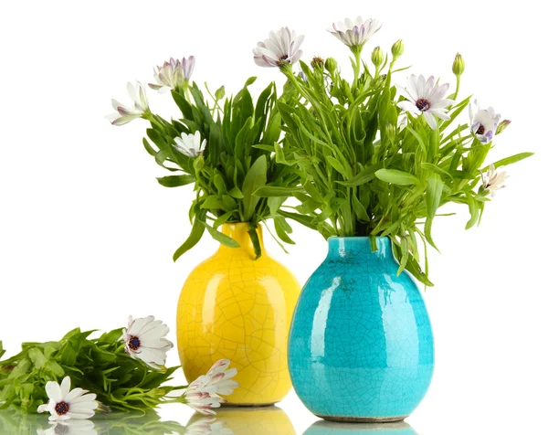 Buquê de belas flores de verão em vasos de cor, isolado em branco — Fotografia de Stock