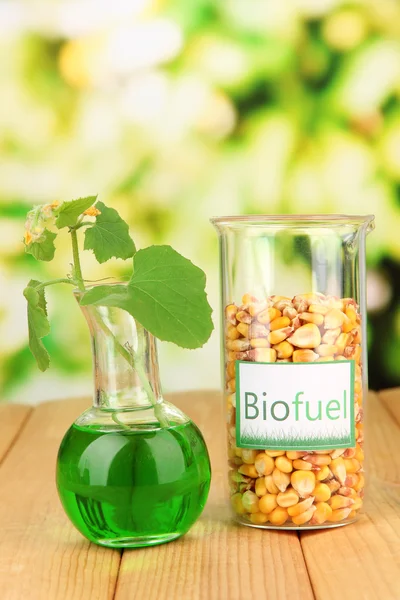 Photo conceptuelle du biocarburant. Sur fond lumineux — Photo
