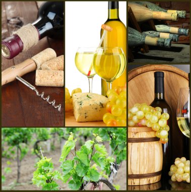 kolaj üzüm ve şarap besteleri