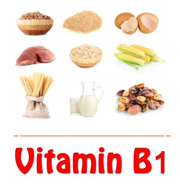 b1 vitamini içeren ürünler