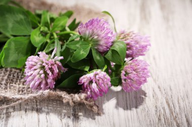 yonca çiçek yaprakları ahşap zemin ile