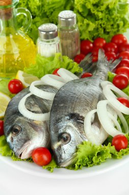 Dorado balığı yakın çekim