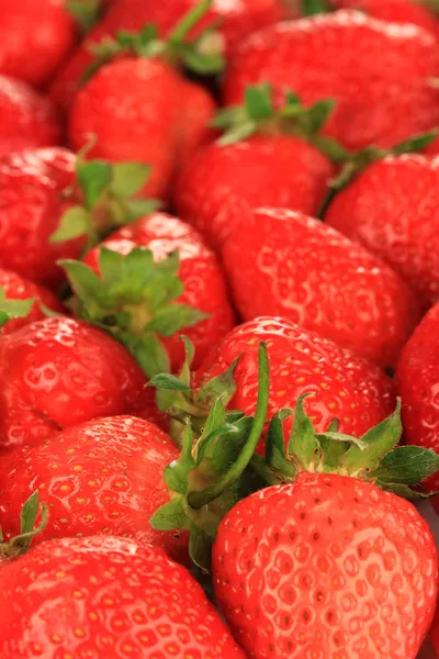 Fresh strawberry close up — Stock Photo, Image