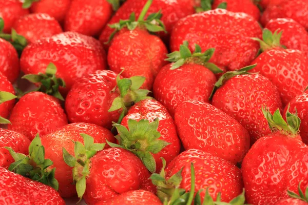 Fresh strawberry close up — Stock Photo, Image