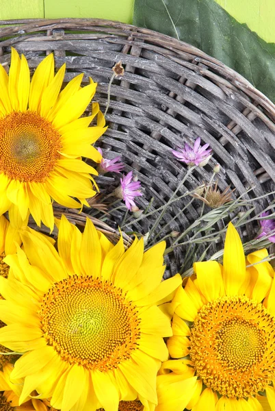 Beaux tournesols sur tapis en osier, sur fond de bois couleur — Photo