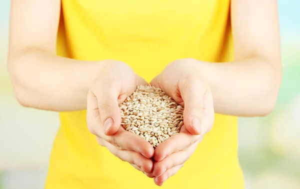 Wheat grain in female hands on natural background — Stockfoto