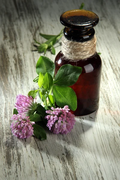 Gyógyszer palackot lóhere virágok a fából készült asztal — Stock Fotó