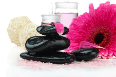 Spa taşlar ve izole üzerine Beyaz gerbera