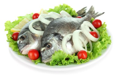 dorado balığı üzerinde beyaz izole