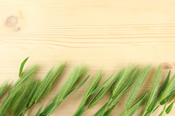 Green spikelets, on wooden background — Stock Photo, Image