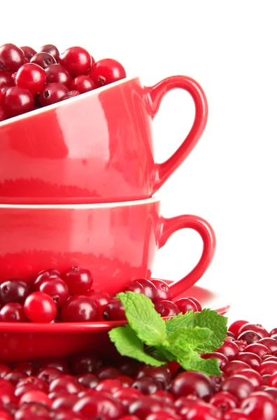 Ripe red cranberries in cups, isolated on whit — Stock Photo, Image