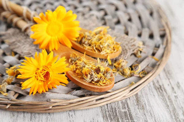 Flores de caléndula frescas y secas sobre fondo de madera —  Fotos de Stock