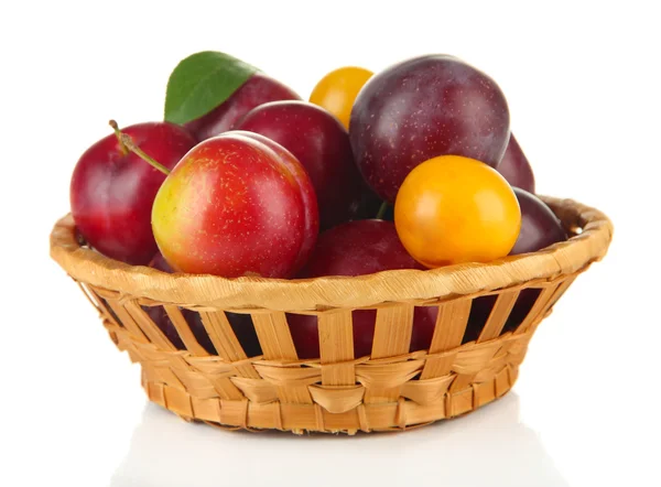 Ripe plums in basket isolated on white — Stock Photo, Image