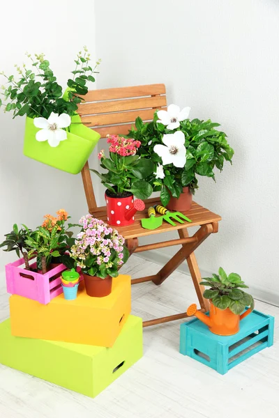 Many beautiful flowers on chair in room close-up — Stock Photo, Image