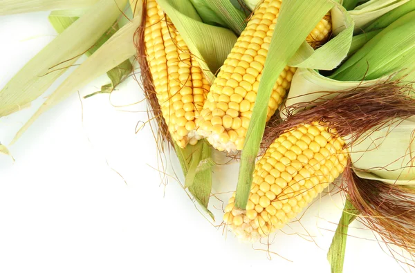 Crude corns isolated on white — Stock Photo, Image