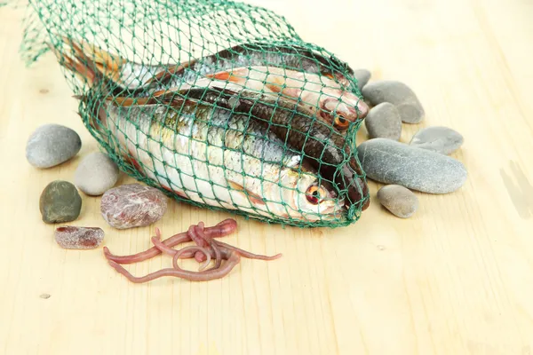 Fishes in fishing net on wooden background — Stock Photo, Image