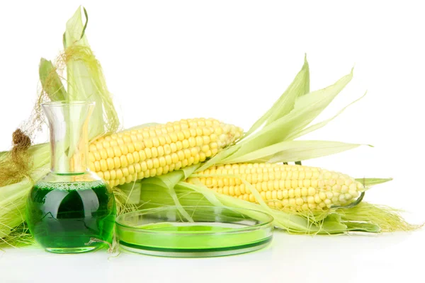 Conceptual photo of bio fuel from corn. Isolated on white — Stock Photo, Image