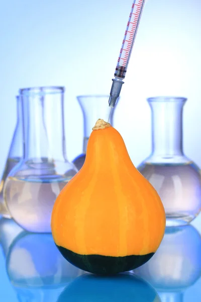 Injection into fresh pumpkin on blue background — Stock Photo, Image