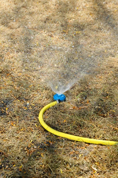 Sprinkler watering the lawn in garden — Stock Photo, Image