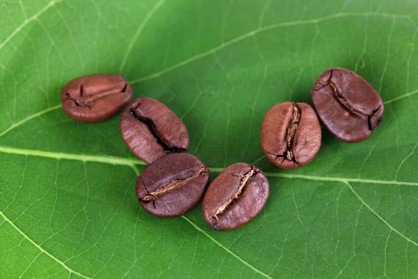 Kahve taneleri üzerinde yeşil yaprak yakın çekim — Stok fotoğraf