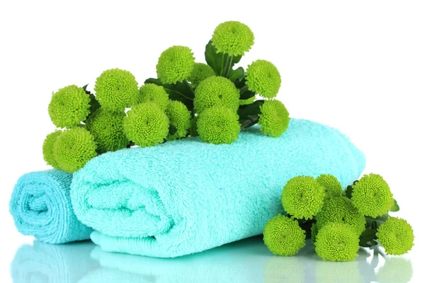 Beautiful green chrysanthemum with towel isolated on white — Stock Photo, Image