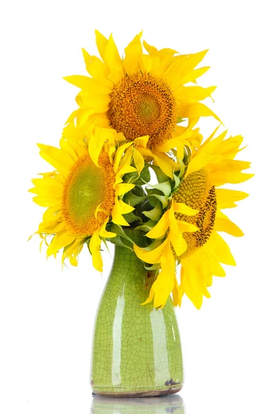 美丽的向日葵在彩色花瓶里，白色衬底上分离 — 图库照片
