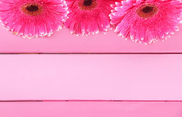 Krásná růžová gerbera, květy fialové dřevěný stůl — Stock fotografie