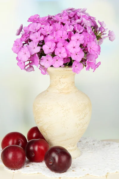 Belo buquê de flox em vaso na mesa no fundo claro — Fotografia de Stock