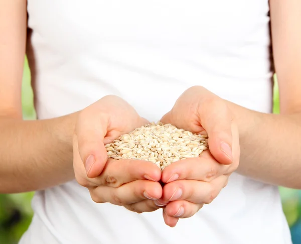 Wheat grain in female hands on natural background — Stockfoto