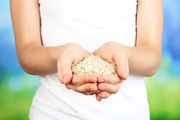 Wheat grain in female hands on natural background — Stockfoto