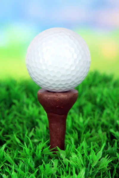 М'яч для гольфу на зеленій траві відкритий крупним планом — стокове фото