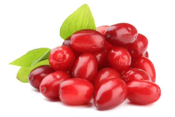 Fresh cornel berries isolated on white — Stock Photo, Image