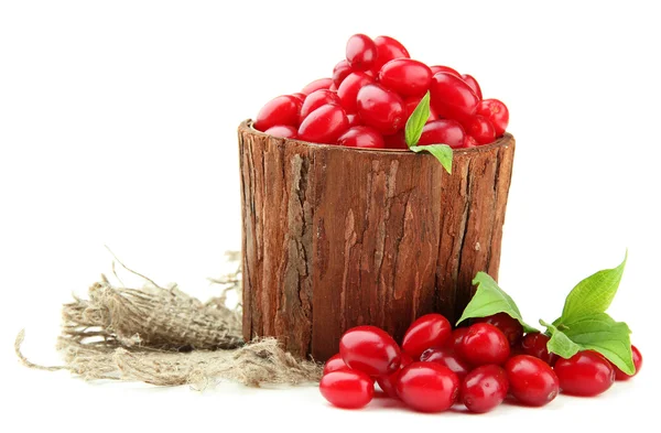 Bacche di corniolo fresche in vaso di legno, isolate su bianco — Foto Stock