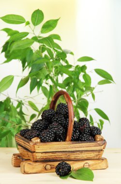 Olgun böğürtlen sepeti doğal zemin üzerine ahşap tablo