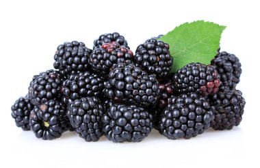 tatlı Blackberry'li üzerinde beyaz izole