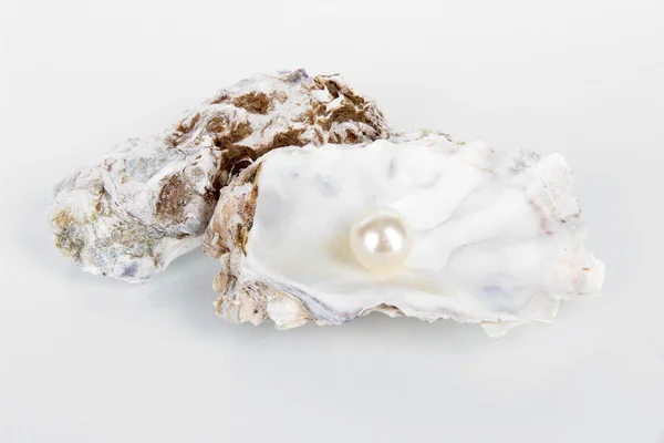 Ostrica aperta con perla isolata su bianco — Foto Stock