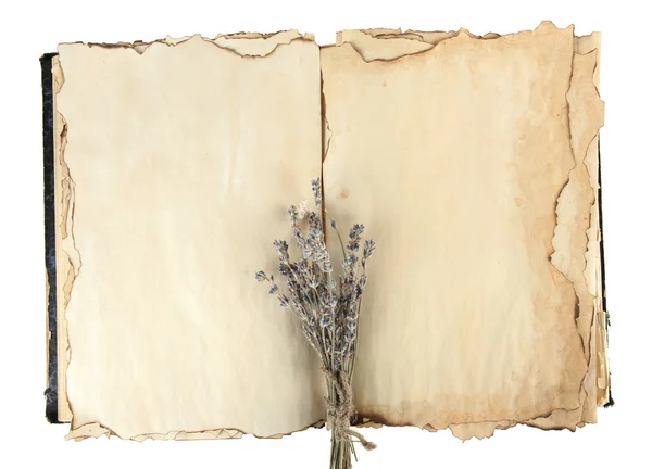 Open old book and lavander isolated on white — Stock Photo, Image