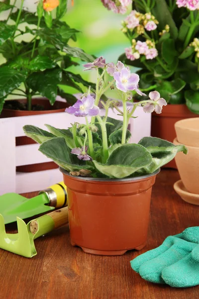 Hermosas flores en macetas sobre mesa de madera sobre fondo natural — Foto de Stock