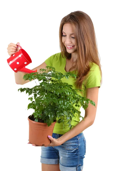 Vacker flicka med blomma i kruka isolerad på vit — Stockfoto