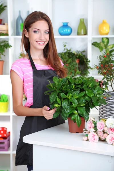 Vacker flicka florist med blommor i blommor shop — Stockfoto