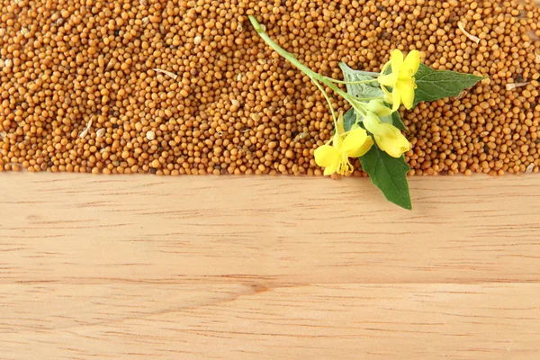 Mostaza y flor de mostaza sobre fondo de madera —  Fotos de Stock