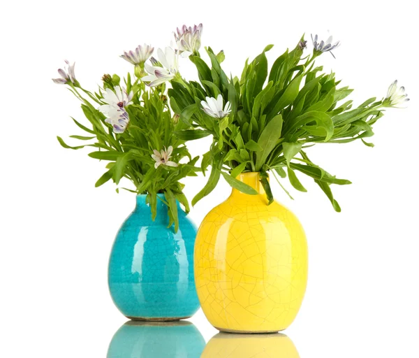Аромат красивых летних цветов в цветных вазах, изолированных на белом — стоковое фото