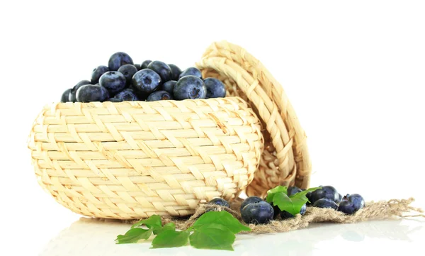 Blueberries in wooden basket on sackcloth isolated on white — Stock Photo, Image